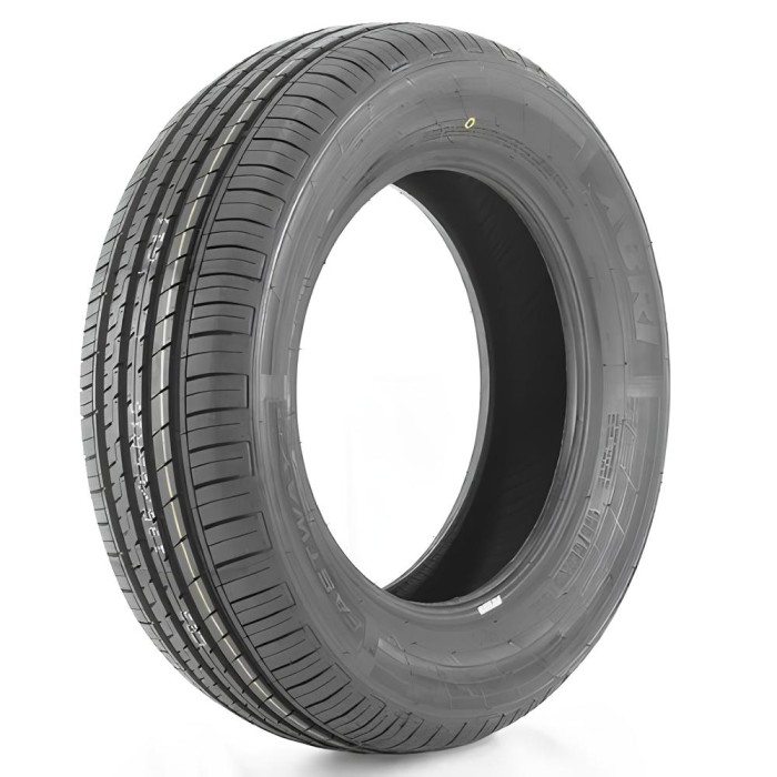 Pneu Aro 16 Xbri Fastway C2 205/55R16 91V Pneu Aro 16 Xbri Fastway C2 205/55R16 91V